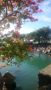 a-gora-st-lucia_0.jpg (maÅ‚e)